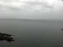 ./images/koeye/fitz-hugh/20170419/fitz-hugh20170419_095703.jpg