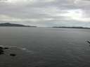 ./images/koeye/fitz-hugh/20170422/fitz-hugh20170422_095702.jpg