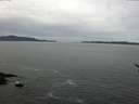 ./images/koeye/fitz-hugh/20170422/fitz-hugh20170422_121802.jpg