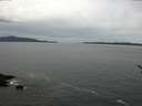 ./images/koeye/fitz-hugh/20170422/fitz-hugh20170422_122403.jpg