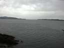 ./images/koeye/fitz-hugh/20170422/fitz-hugh20170422_155701.jpg