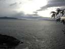 ./images/koeye/fitz-hugh/20170422/fitz-hugh20170422_175701.jpg