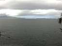 ./images/koeye/fitz-hugh/20170423/fitz-hugh20170423_121802.jpg