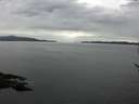 ./images/koeye/fitz-hugh/20170425/fitz-hugh20170425_155703.jpg