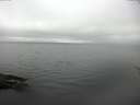 ./images/koeye/fitz-hugh/20170503/fitz-hugh20170503_095702.jpg
