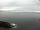 ./images/koeye/fitz-hugh/20170503/fitz-hugh20170503_115702.jpg