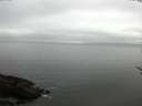 ./images/koeye/fitz-hugh/20170503/fitz-hugh20170503_121502.jpg