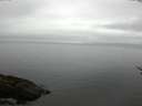 ./images/koeye/fitz-hugh/20170503/fitz-hugh20170503_121802.jpg
