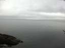 ./images/koeye/fitz-hugh/20170503/fitz-hugh20170503_122102.jpg
