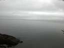 ./images/koeye/fitz-hugh/20170503/fitz-hugh20170503_122402.jpg