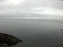 ./images/koeye/fitz-hugh/20170503/fitz-hugh20170503_122701.jpg