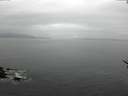 ./images/koeye/fitz-hugh/20170504/fitz-hugh20170504_075702.jpg