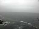 ./images/koeye/fitz-hugh/20170504/fitz-hugh20170504_095702.jpg