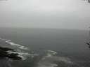 ./images/koeye/fitz-hugh/20170504/fitz-hugh20170504_115701.jpg