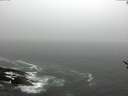 ./images/koeye/fitz-hugh/20170504/fitz-hugh20170504_122101.jpg