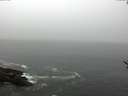 ./images/koeye/fitz-hugh/20170504/fitz-hugh20170504_122403.jpg