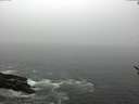 ./images/koeye/fitz-hugh/20170504/fitz-hugh20170504_122703.jpg