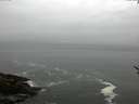 ./images/koeye/fitz-hugh/20170504/fitz-hugh20170504_135703.jpg