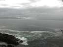 ./images/koeye/fitz-hugh/20170504/fitz-hugh20170504_155702.jpg