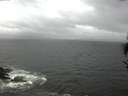 ./images/koeye/fitz-hugh/20170505/fitz-hugh20170505_121502.jpg
