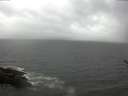./images/koeye/fitz-hugh/20170505/fitz-hugh20170505_135703.jpg