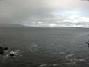 ./images/koeye/fitz-hugh/20170506/fitz-hugh20170506_095702.jpg