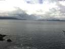 ./images/koeye/fitz-hugh/20170506/fitz-hugh20170506_121502.jpg