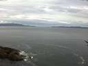 ./images/koeye/fitz-hugh/20170507/fitz-hugh20170507_075702.jpg