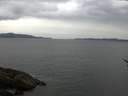 ./images/koeye/fitz-hugh/20170507/fitz-hugh20170507_175702.jpg