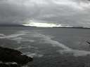 ./images/koeye/fitz-hugh/20170508/fitz-hugh20170508_055703.jpg