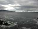 ./images/koeye/fitz-hugh/20170508/fitz-hugh20170508_095701.jpg