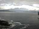 ./images/koeye/fitz-hugh/20170509/fitz-hugh20170509_095702.jpg