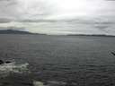./images/koeye/fitz-hugh/20170509/fitz-hugh20170509_135701.jpg