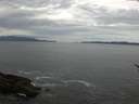 ./images/koeye/fitz-hugh/20170510/fitz-hugh20170510_095702.jpg