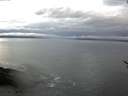 ./images/koeye/fitz-hugh/20170511/fitz-hugh20170511_055703.jpg