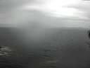 ./images/koeye/fitz-hugh/20170511/fitz-hugh20170511_135703.jpg