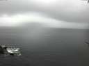./images/koeye/fitz-hugh/20170511/fitz-hugh20170511_155703.jpg