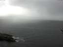 ./images/koeye/fitz-hugh/20170511/fitz-hugh20170511_175702.jpg