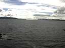 ./images/koeye/fitz-hugh/20170512/fitz-hugh20170512_155701.jpg