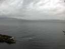 ./images/koeye/fitz-hugh/20170513/fitz-hugh20170513_055701.jpg