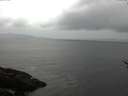 ./images/koeye/fitz-hugh/20170513/fitz-hugh20170513_075701.jpg