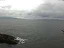 ./images/koeye/fitz-hugh/20170513/fitz-hugh20170513_115703.jpg