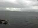 ./images/koeye/fitz-hugh/20170513/fitz-hugh20170513_175702.jpg