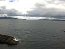 ./images/koeye/fitz-hugh/20170514/fitz-hugh20170514_122402.jpg
