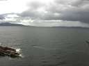 ./images/koeye/fitz-hugh/20170514/fitz-hugh20170514_135702.jpg