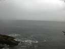 ./images/koeye/fitz-hugh/20170515/fitz-hugh20170515_122102.jpg