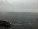 ./images/koeye/fitz-hugh/20170515/fitz-hugh20170515_122702.jpg