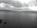 ./images/koeye/fitz-hugh/20170515/fitz-hugh20170515_175702.jpg