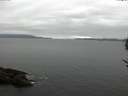 ./images/koeye/fitz-hugh/20170518/fitz-hugh20170518_095701.jpg