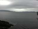 ./images/koeye/fitz-hugh/20170518/fitz-hugh20170518_121502.jpg